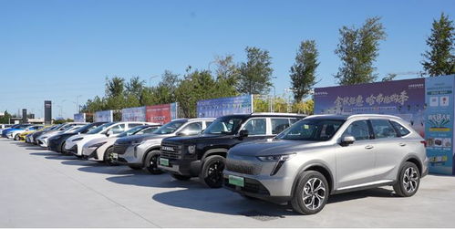 山东有多少汽车