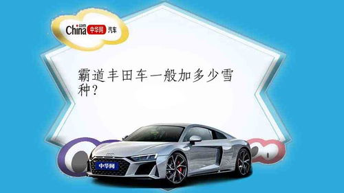 汽车加多少雪种呢