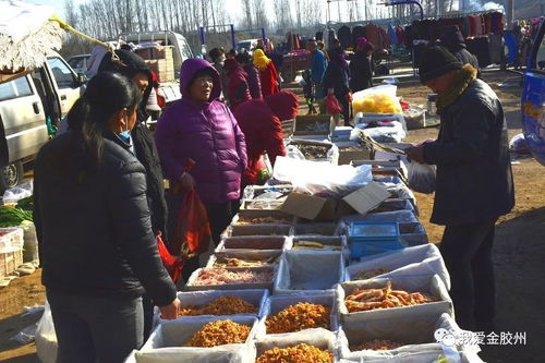广东一地多店售卖老鼠干
