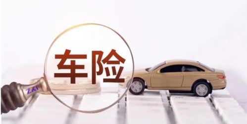 汽车中网保险多少钱