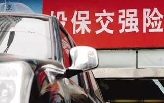 汽车过户后保险交多少