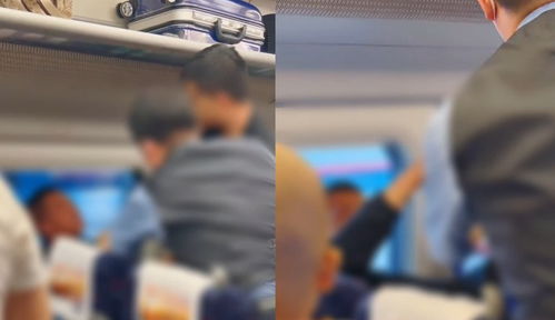 男子高铁上脱鞋还打劝阻者被行拘