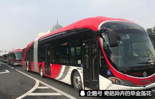 公共汽车有多少天
