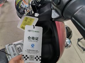 电动汽车驾驶证多少钱 电动汽车驾驶证多少钱