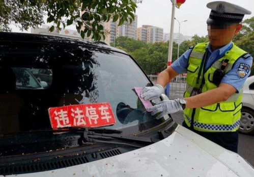汽车违规停车扣多少分
