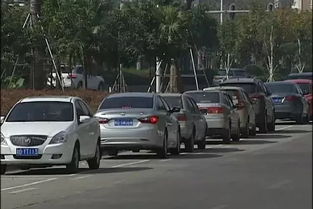 沈阳汽车上牌多少钱