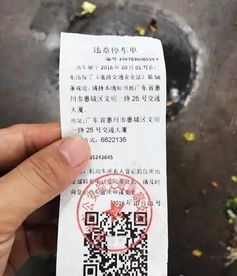 现在汽车违章扣多少分