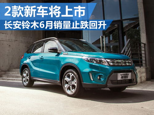 铃木汽车8月销量多少