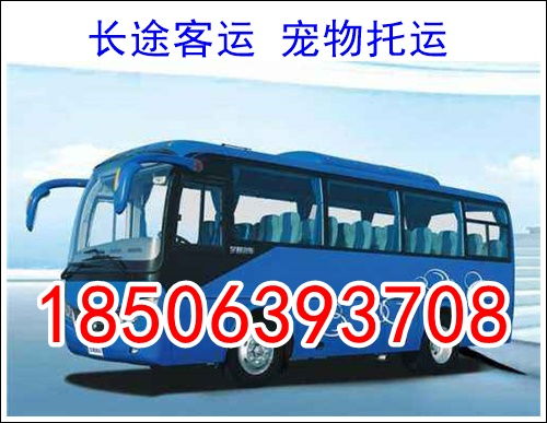涡阳到合肥汽车多少钱 涡阳到合肥汽车多少钱