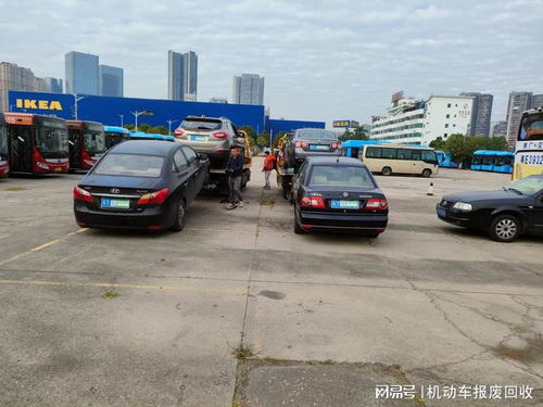 汽车报废流程要多少钱