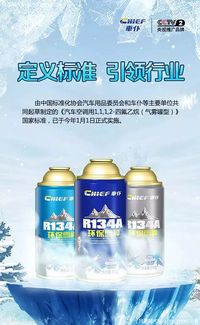 汽车雪种加多少毫升