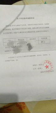 学汽车驾照多少钱