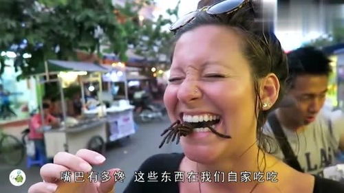 中国人爱吃乌鸦?日本综艺道歉