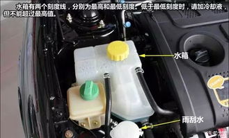 汽车水箱一般多少钱 汽车水箱一般多少钱