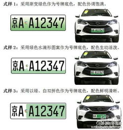 昭通汽车临时号牌多少钱