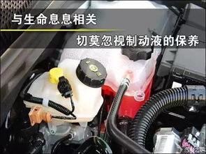 汽车刹车油多少公里换