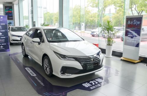 智能云汽车保养多少费用