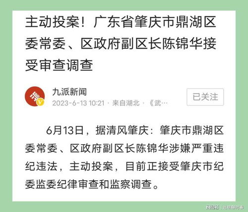 80后副区长沉溺物欲10年网贷781万