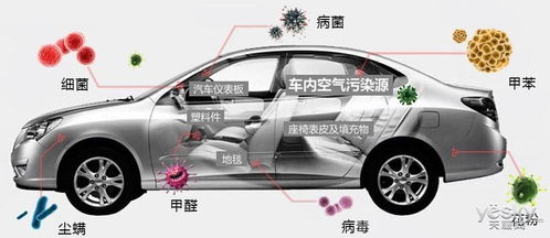 周口汽车除甲醛费用多少
