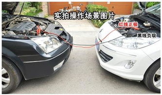 汽车没电搭电多少钱