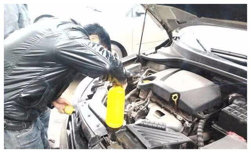换汽车冷冻液多少钱