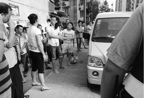 汽车压死狗赔多少