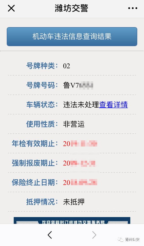 汽车识别代号多少位组词