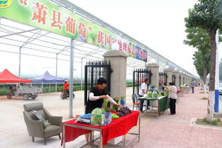 萧县汽车总站电话多少