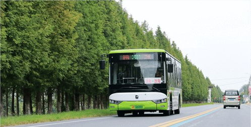 苏州到庐江汽车多少班车
