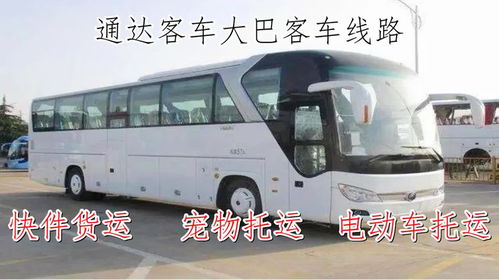苏州到庐江汽车多少班车