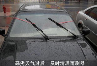 汽车换个雨刷器多少