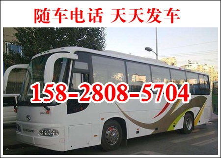 漯河到许昌汽车多少钱