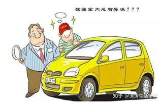 荥阳汽车除甲醛多少钱