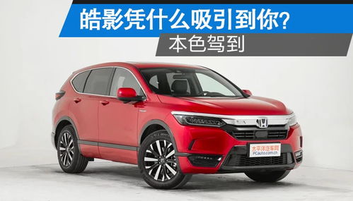 南平汽车改装费用多少 南平汽车改装费用多少
