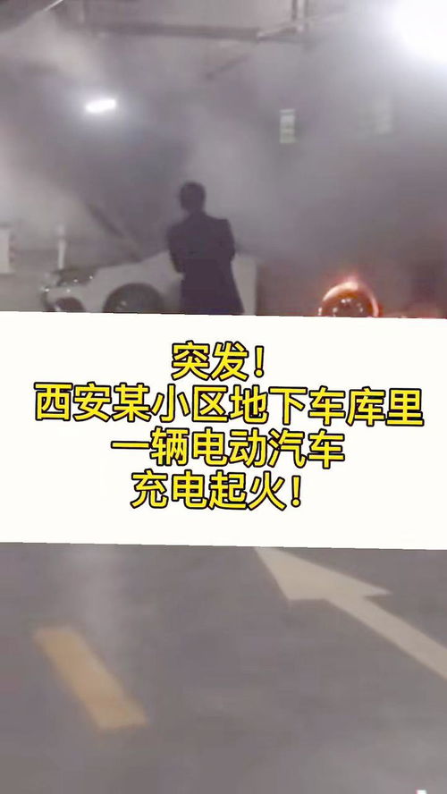 汽车自燃险能报销多少