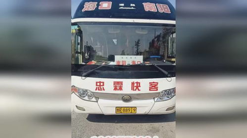 湛江到海口汽车多少钱