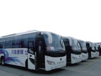 合肥到高河汽车多少钱
