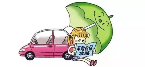 给汽车交保险多少钱