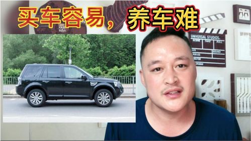 汽车保养要多少钱