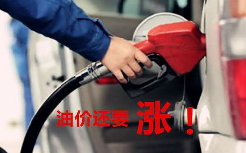 山东汽车柴油涨幅多少