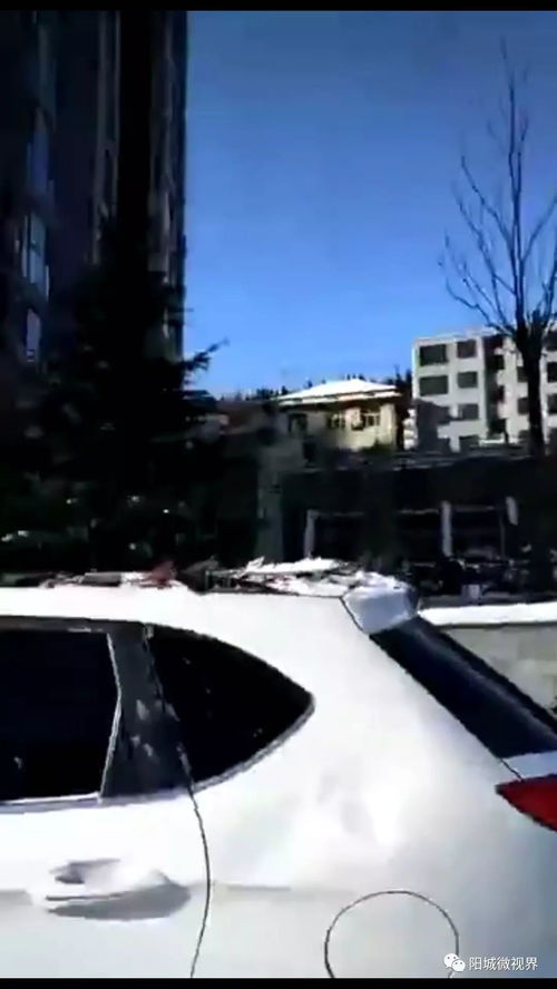 汽车风力等级是多少