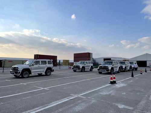 赛博汽车300多少马力