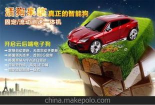 汽车定位多少钱