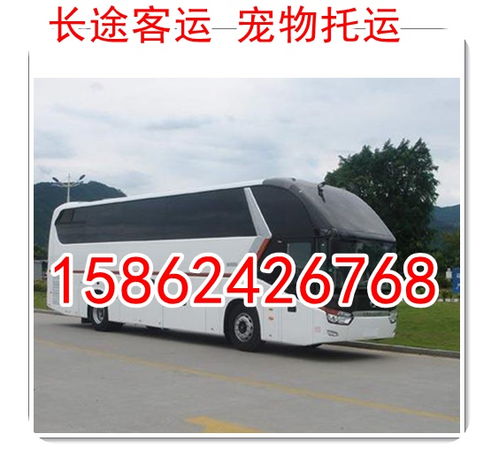 太仓汽车上牌多少钱