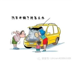 汽车打火要打到多少转 汽车打火要打到多少转