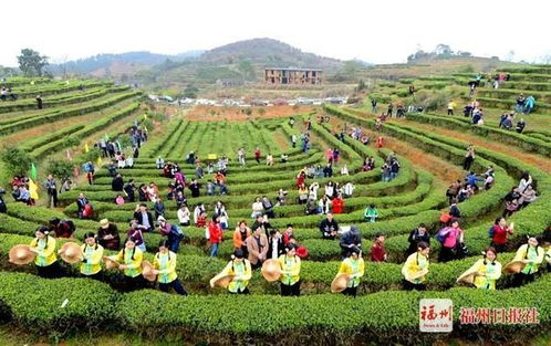 福建福耀科技大学领导班子亮相