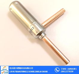 汽车膨胀阀多少钱