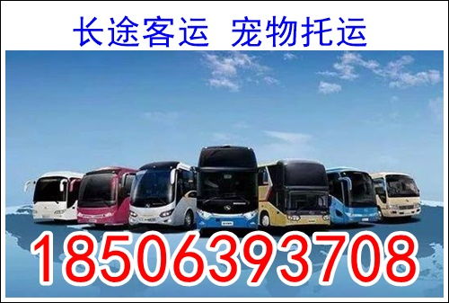 巢湖到合肥汽车多少钱