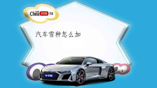 汽车雪种加多少克