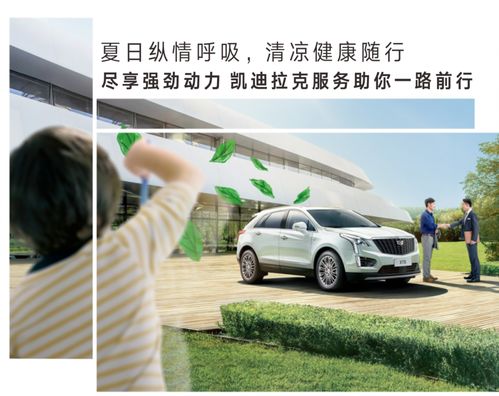 夏天汽车加多少油